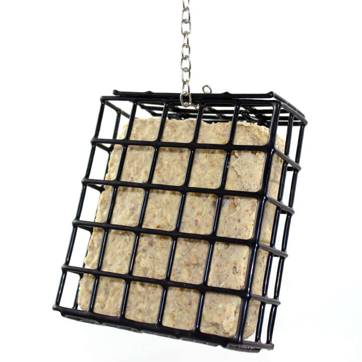 Pfiffikus Wildvogelfutter Spenderbox